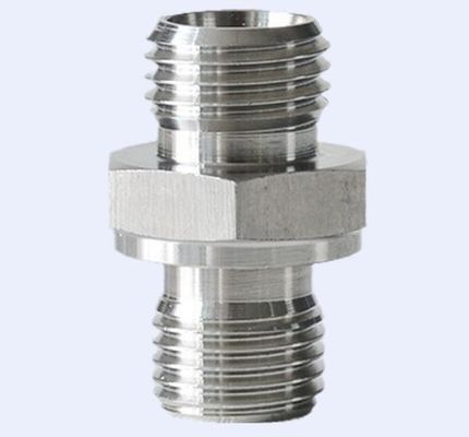 1CM-WD 1DM-WD Adaptateur de fil de NPT à Bsp mâle pour le raccordement de tuyaux en acier inoxydable 304